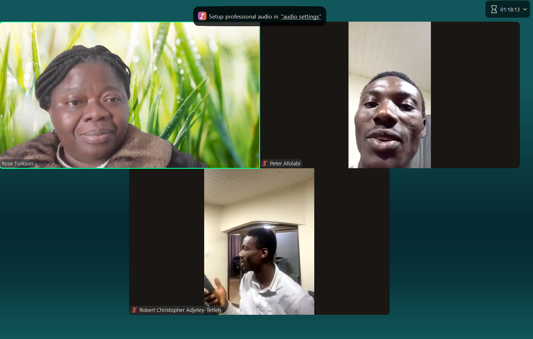 Interactive Online Session — Facilitators and Participants in Discussion